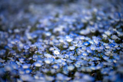 Around Blue